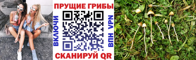 Псилоцибиновые грибы Magic Shrooms  закладка  Полевской 