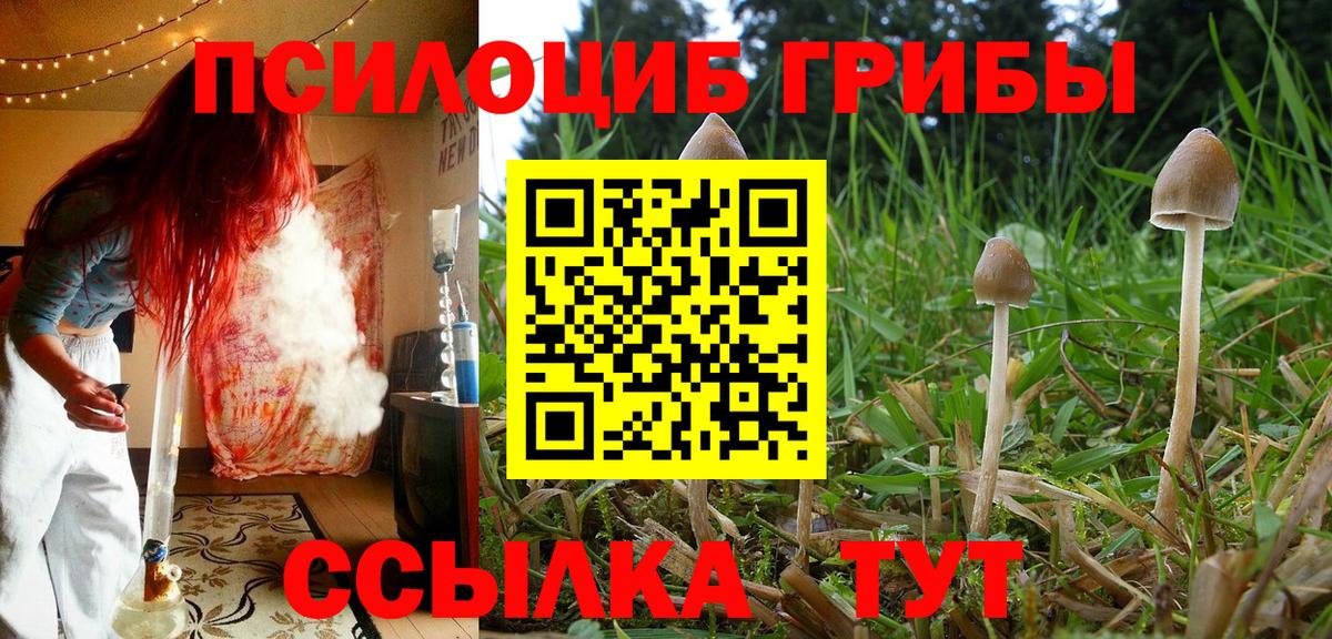 Галлюциногенные грибы мицелий  даркнет сайт  Полевской  Псилоцибиновые грибы Cubensis  Вход с VPN 